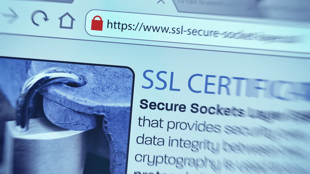 SSL certificate and padlock symbol representing website security and a secure custom domain connection.
