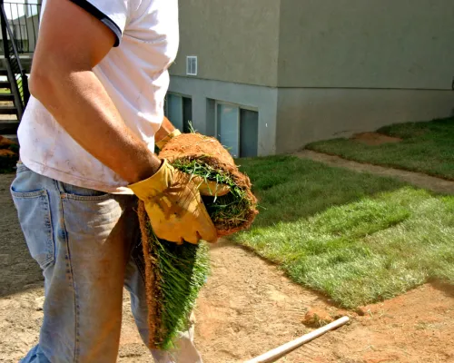 Landscaping in West Philadelphia