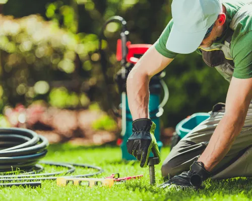 North Philadelphia Landscaping