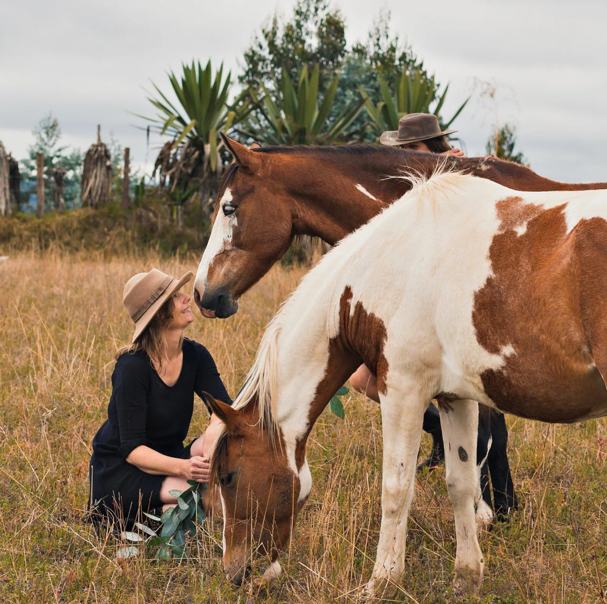 christina-marz-field-immersion-horses