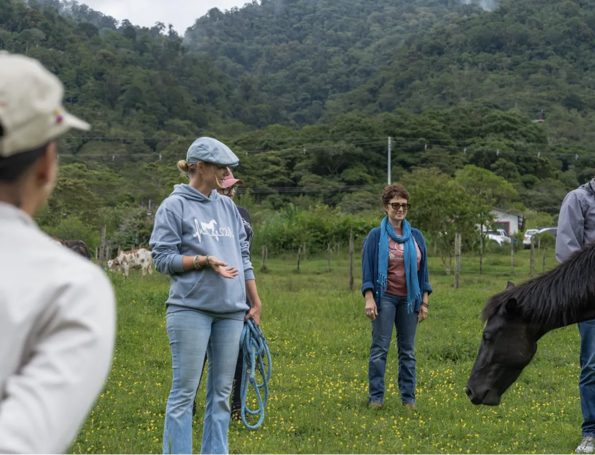 christina-marz-field-immersion-horses