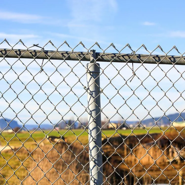 Chain link fence