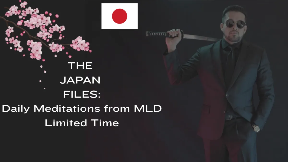 city skyline near body of water during sunset