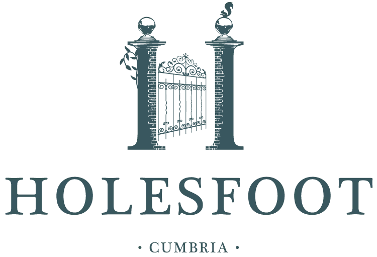 Holesfoot Logo