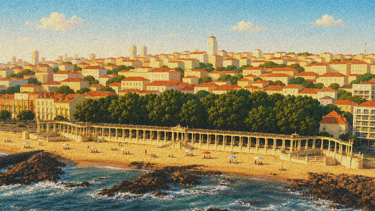 An Insider’s Guide to Porto’s Neighborhoods