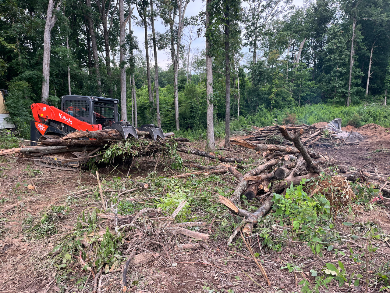 Land Clearing Vs. Forestry and Mulching