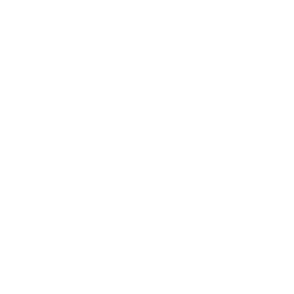 Prism Leads LLC Logo