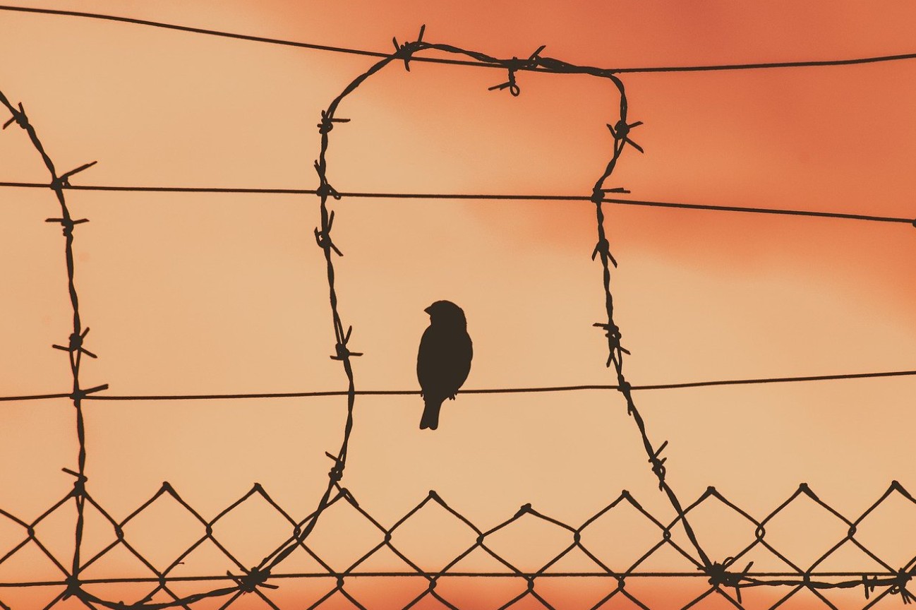 5 Important Reasons to Face Persecution with Joy