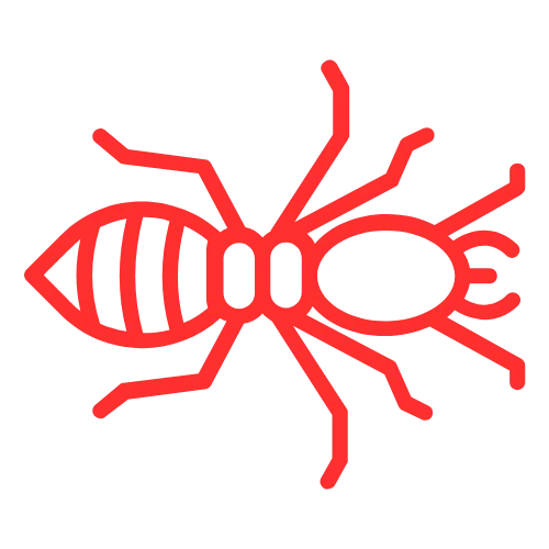 Termite Control