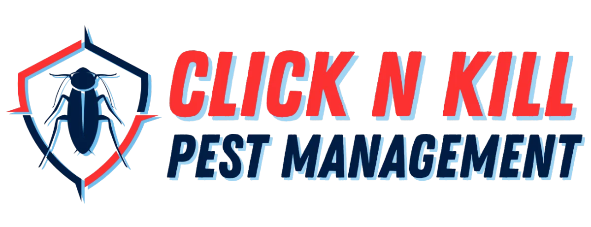 Site Navigation