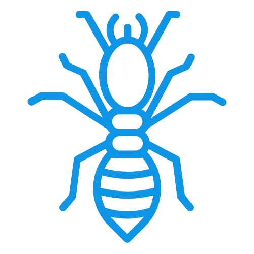 Termite inspections Click n Kill