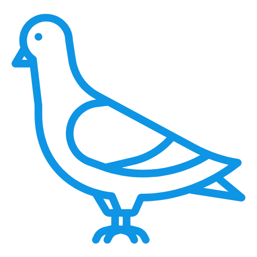 Human Bird Proofing