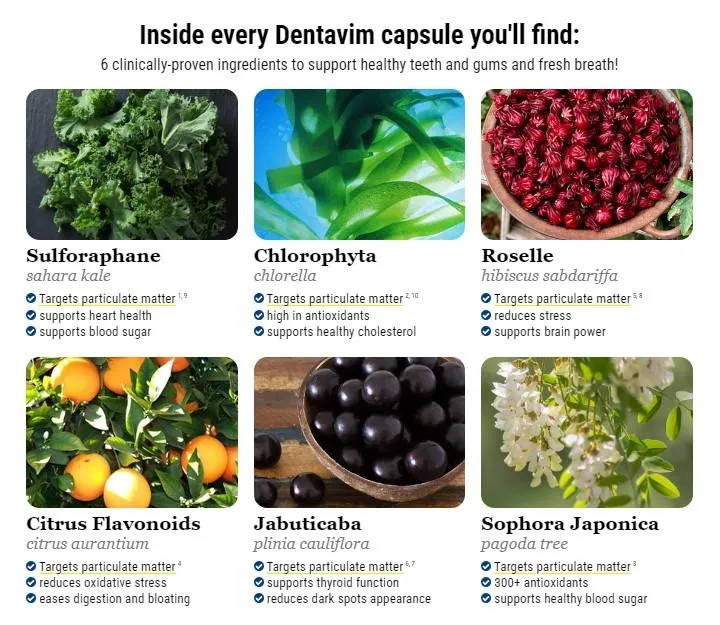 dentavim ingredients