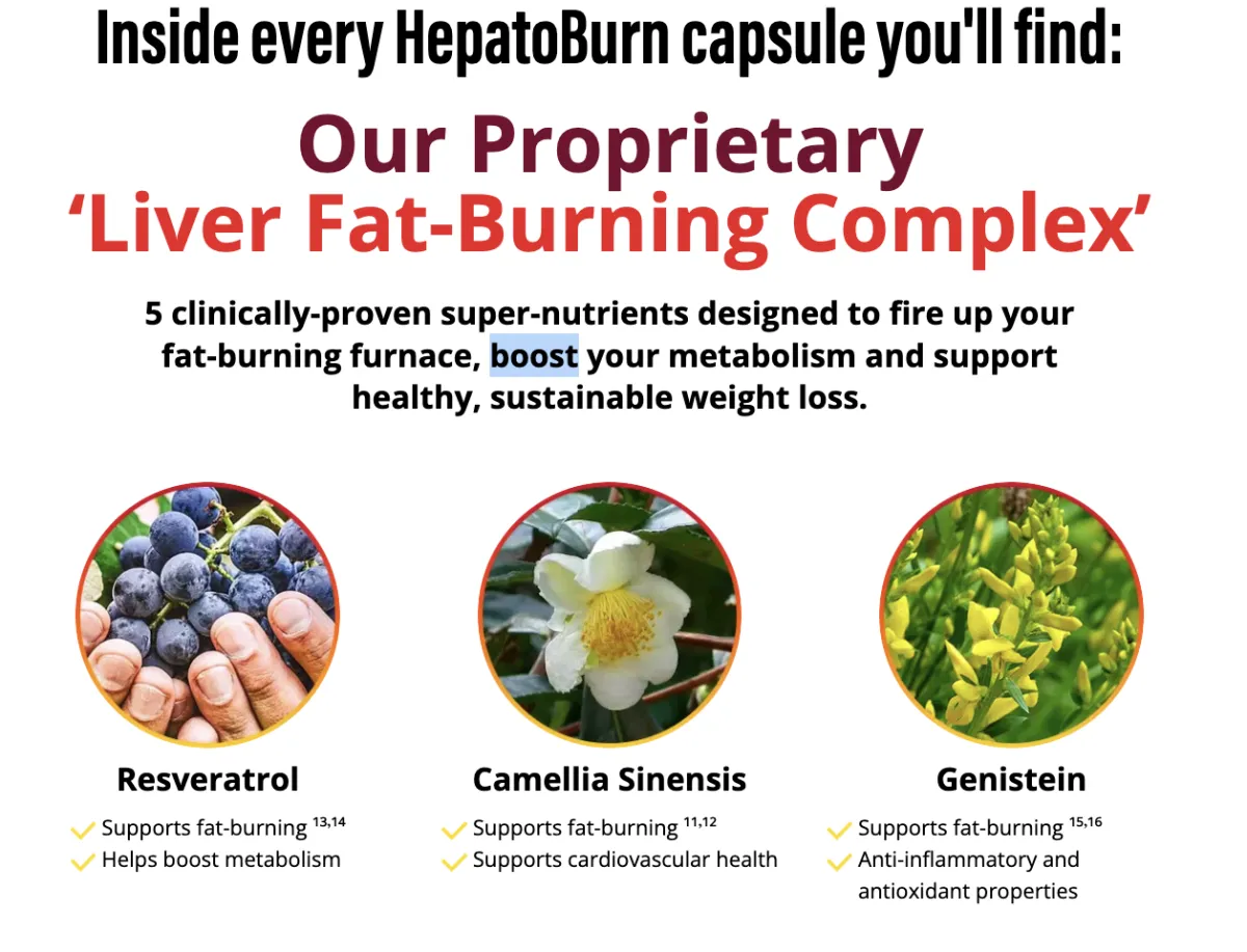 Hepato Burn Ingredients
