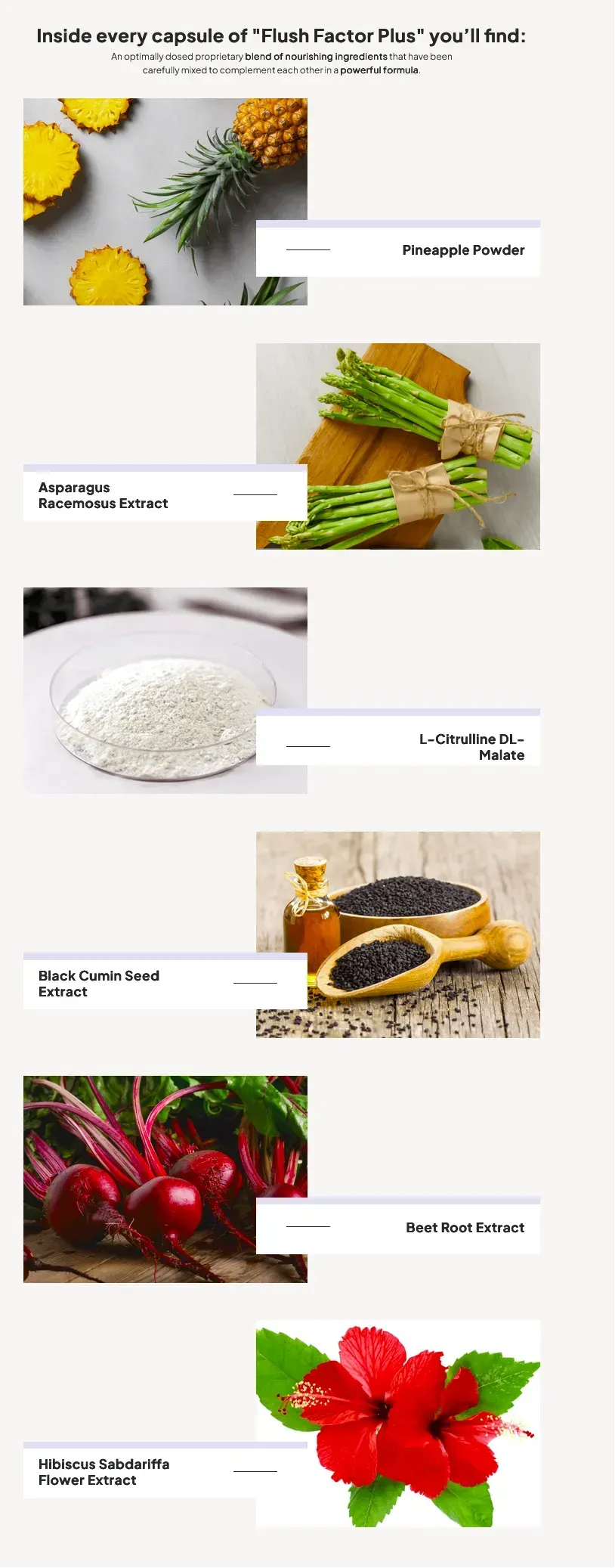 Flush Factor Plus ingredients