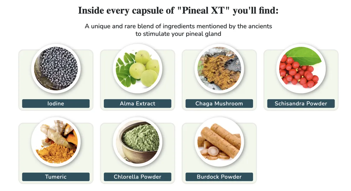 PinealXt ingredients