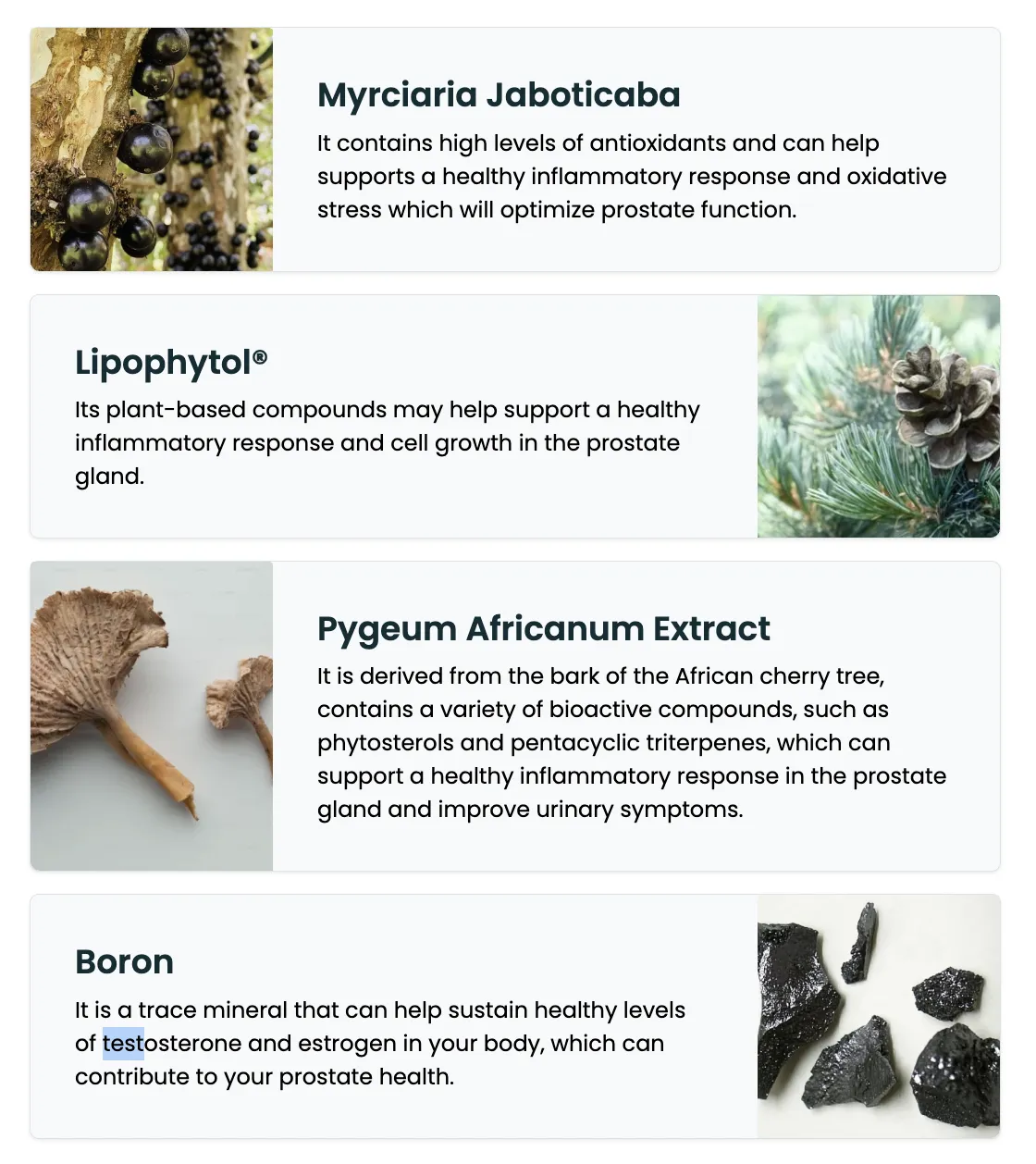 tc24 ingredients