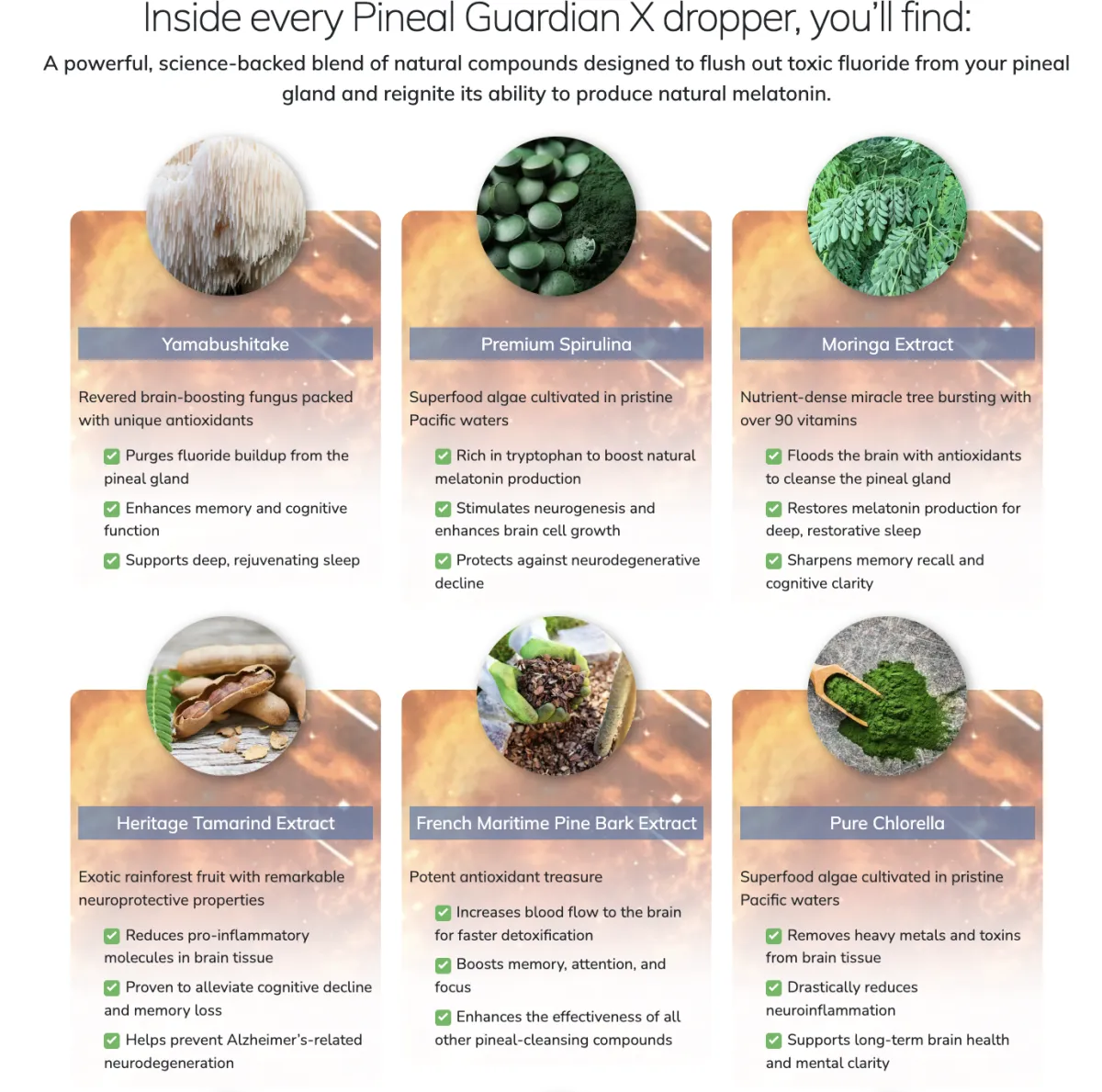 prostavive ingredients