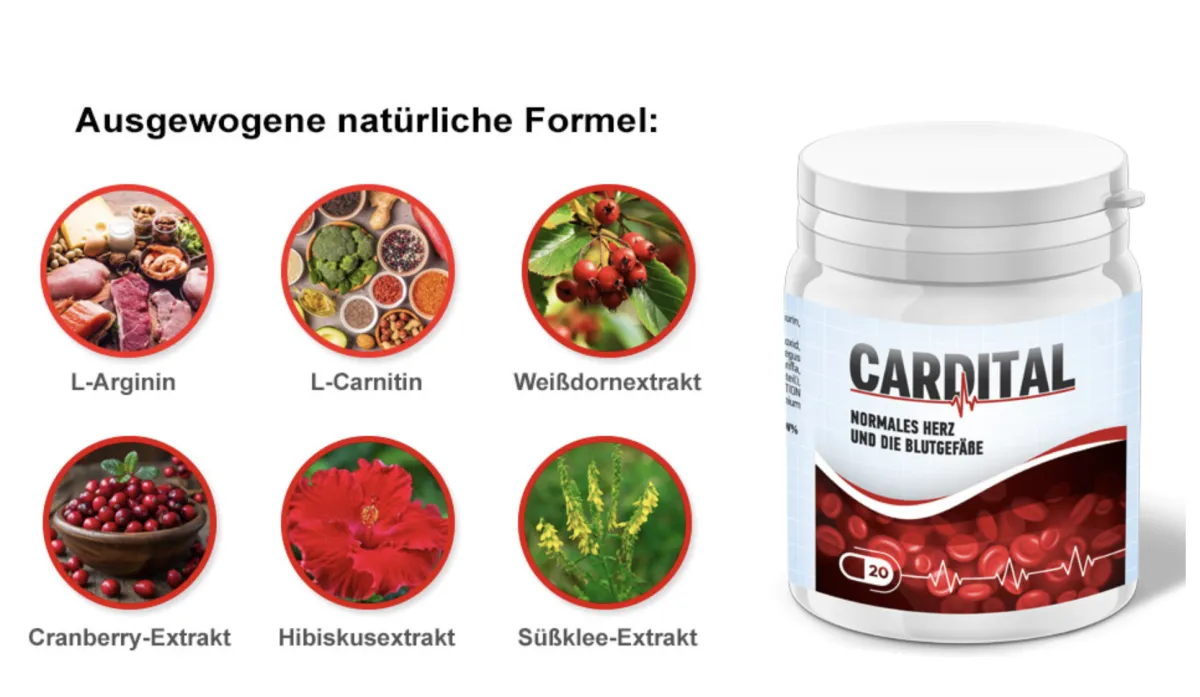 Carditol Wirkstoffe
