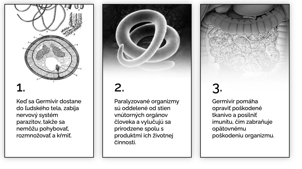 Akým spôsobom liek Germivir účinkuje