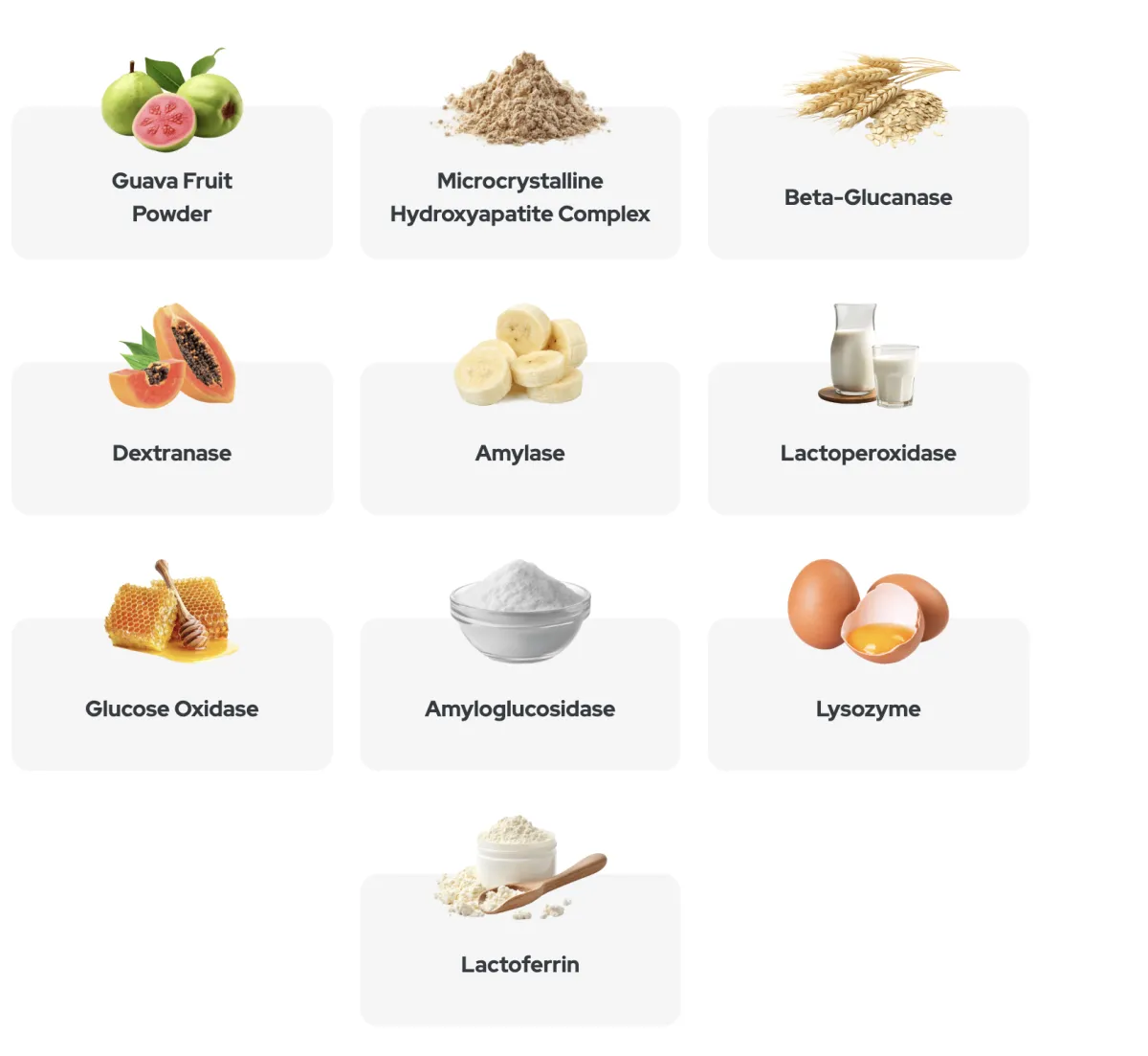 synadentix ingredients