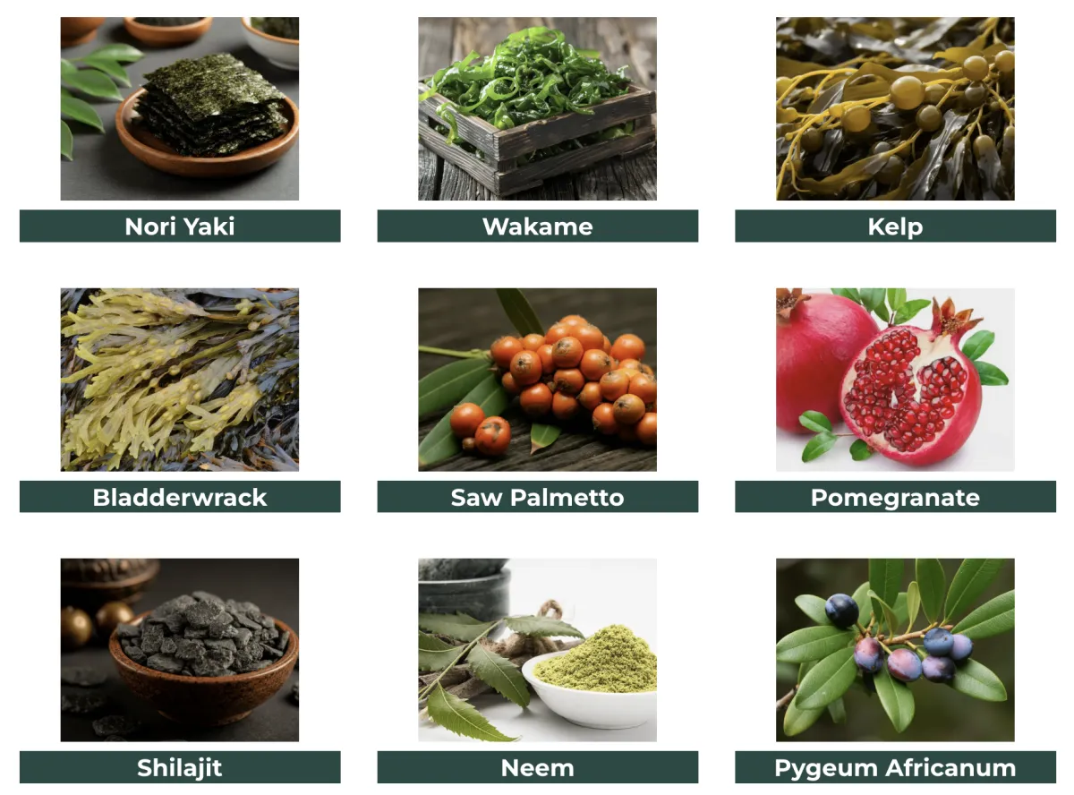 Viriflow ingredients