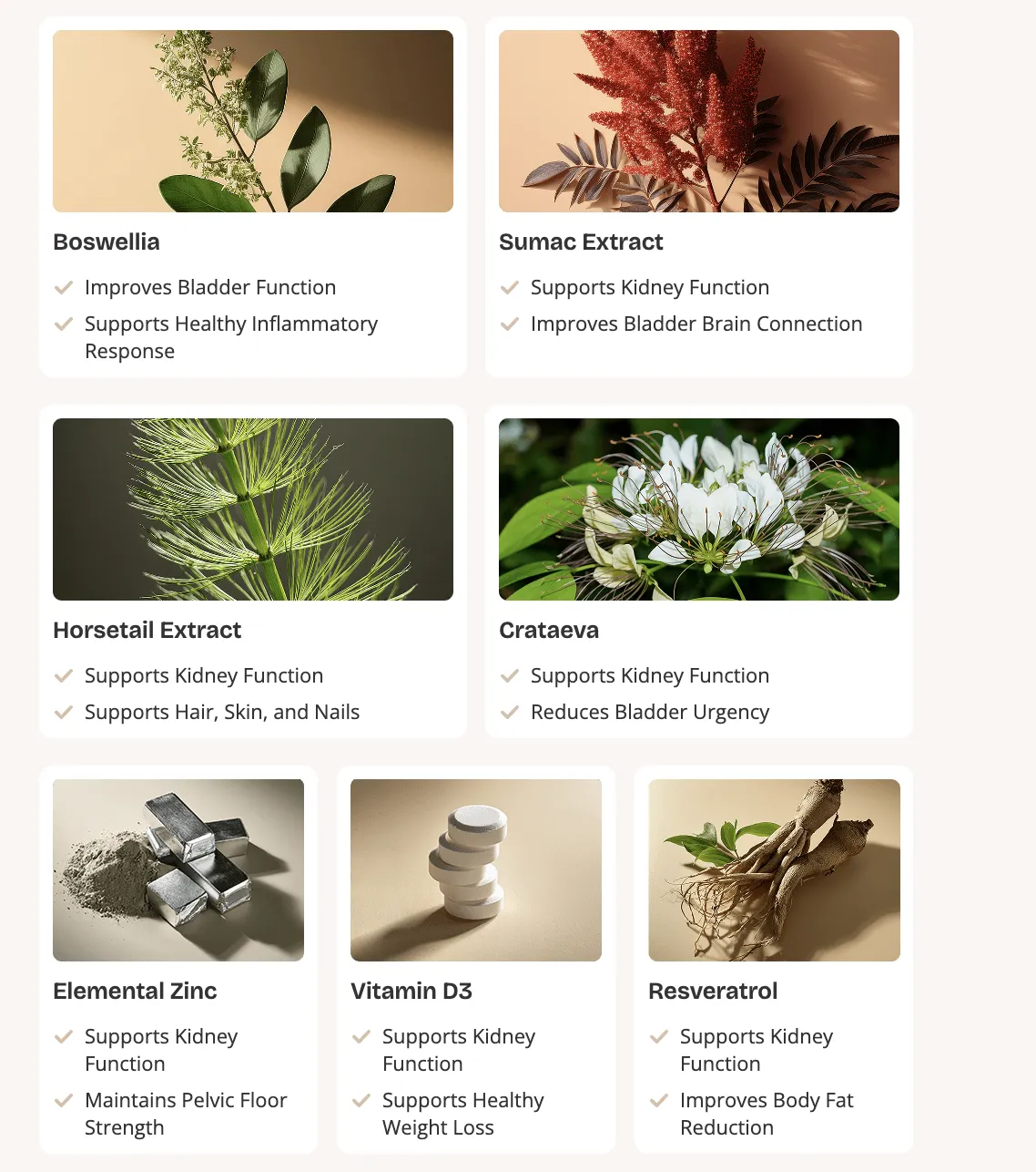 New Era Protect Ingredients