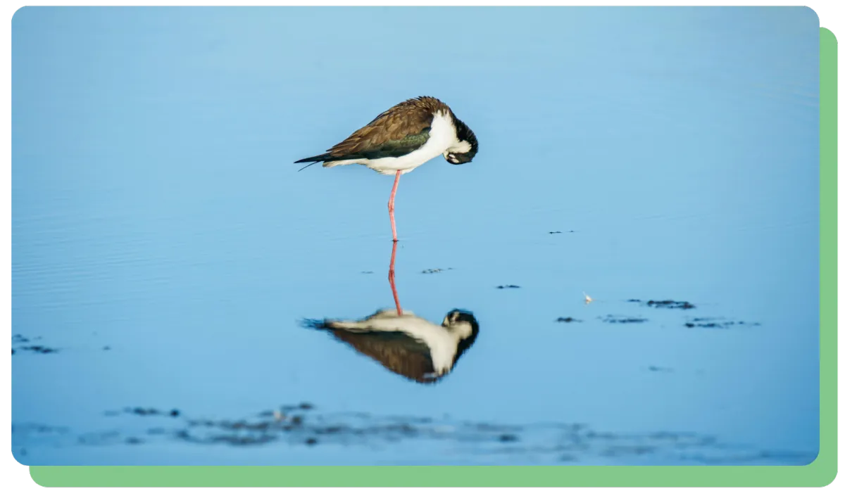 Why Most Change Efforts Stall Before They Start