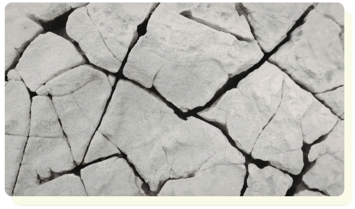 The Cost of Misalignment: Where Organizations Quietly Break Down