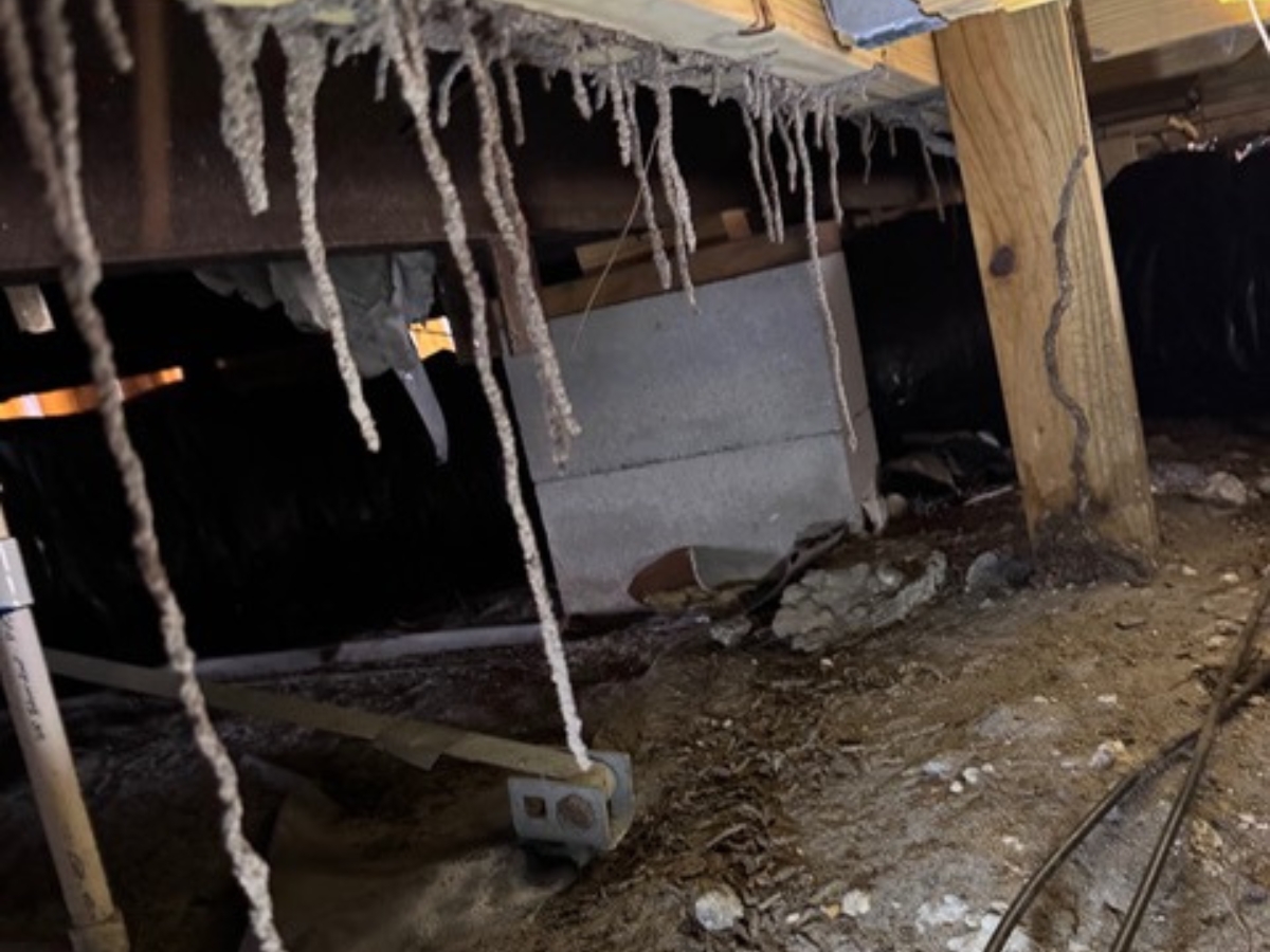 Subterranean termite mud tubes found under a Central Florida home