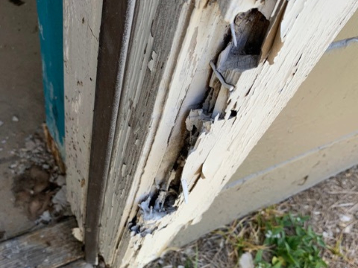 Possible termite activity around a door frame 