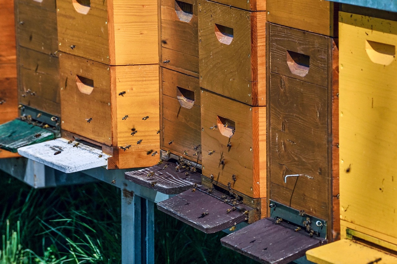 Hive with bees