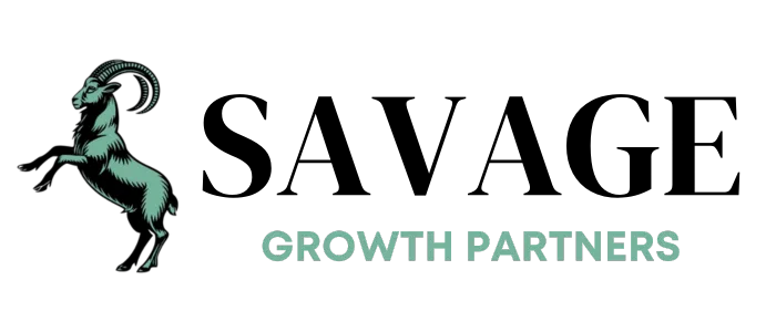 Ninestone Partners Logo