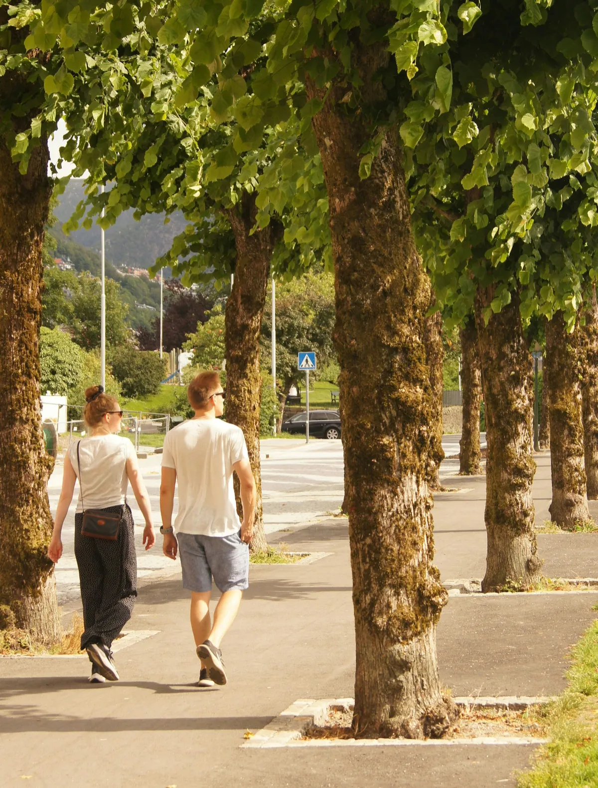 Two people walking outdoors beneath leafy trees