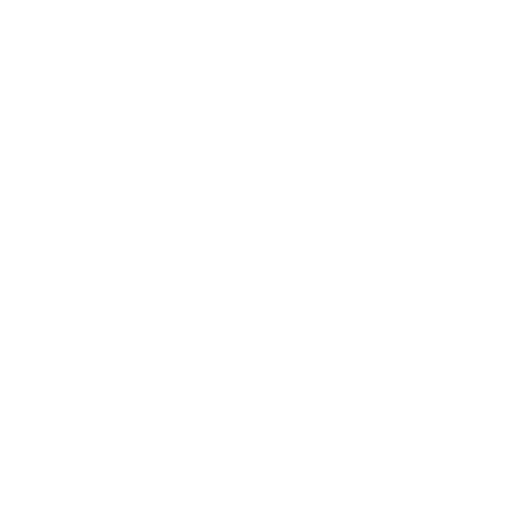 invoice and payments icon