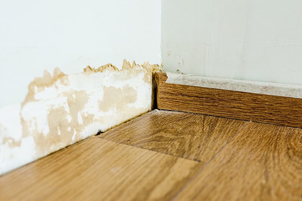 Water Damage in Wichita