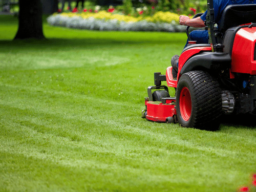 Monthly Mowing in Hinckley