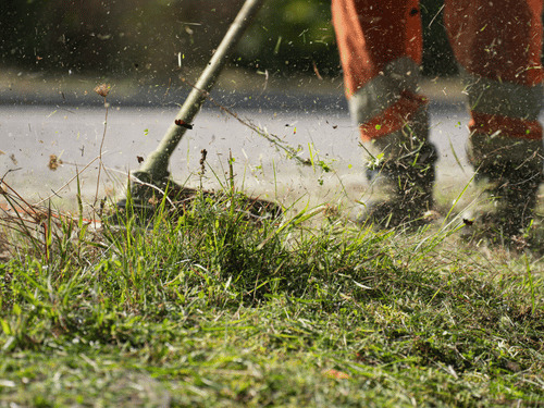 String Trimming / Weed Wacking in Hinckley