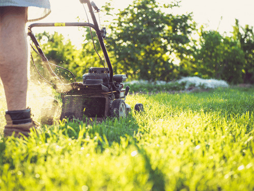 Bi-Weekly Mowing in Hinckley