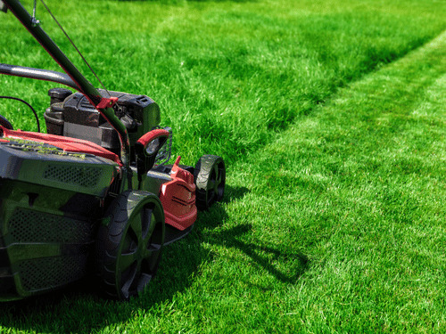 Push Mowing (Small / Tight Yards) in Hinckley