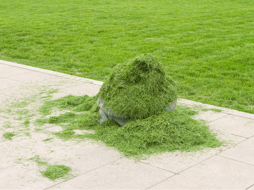 Blowing / Clipping Cleanup in Hinckley