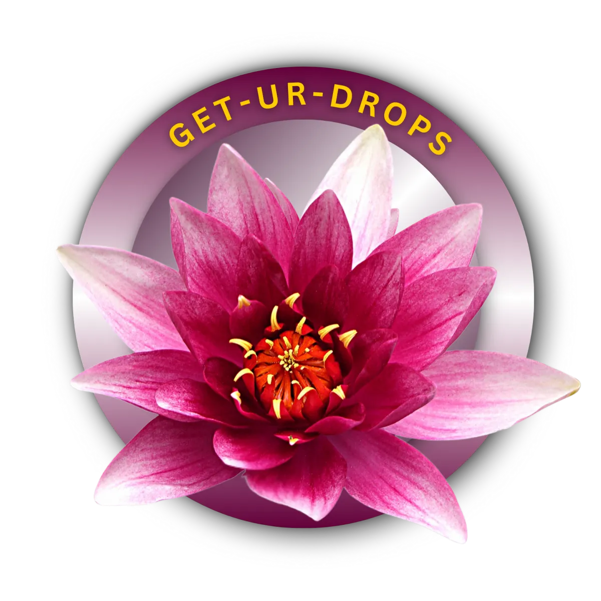 Get_UR_DROPS_Personal Logo_Partner.co