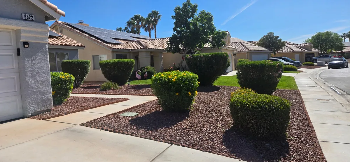 Front yard landscaping with trimmed shrubs and rock ground cover