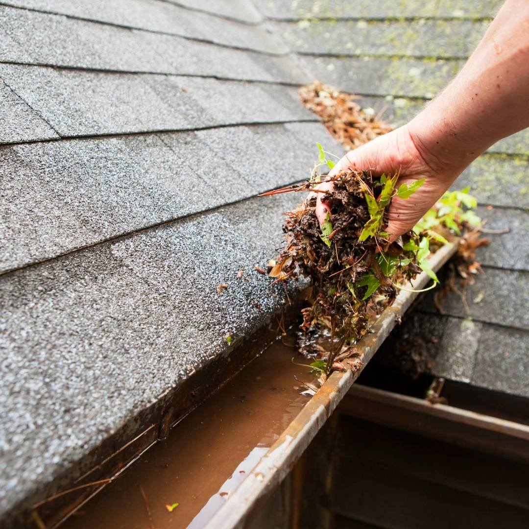 gutter clearing services by Handyman Pete in Kailua-Kona, Hawaii