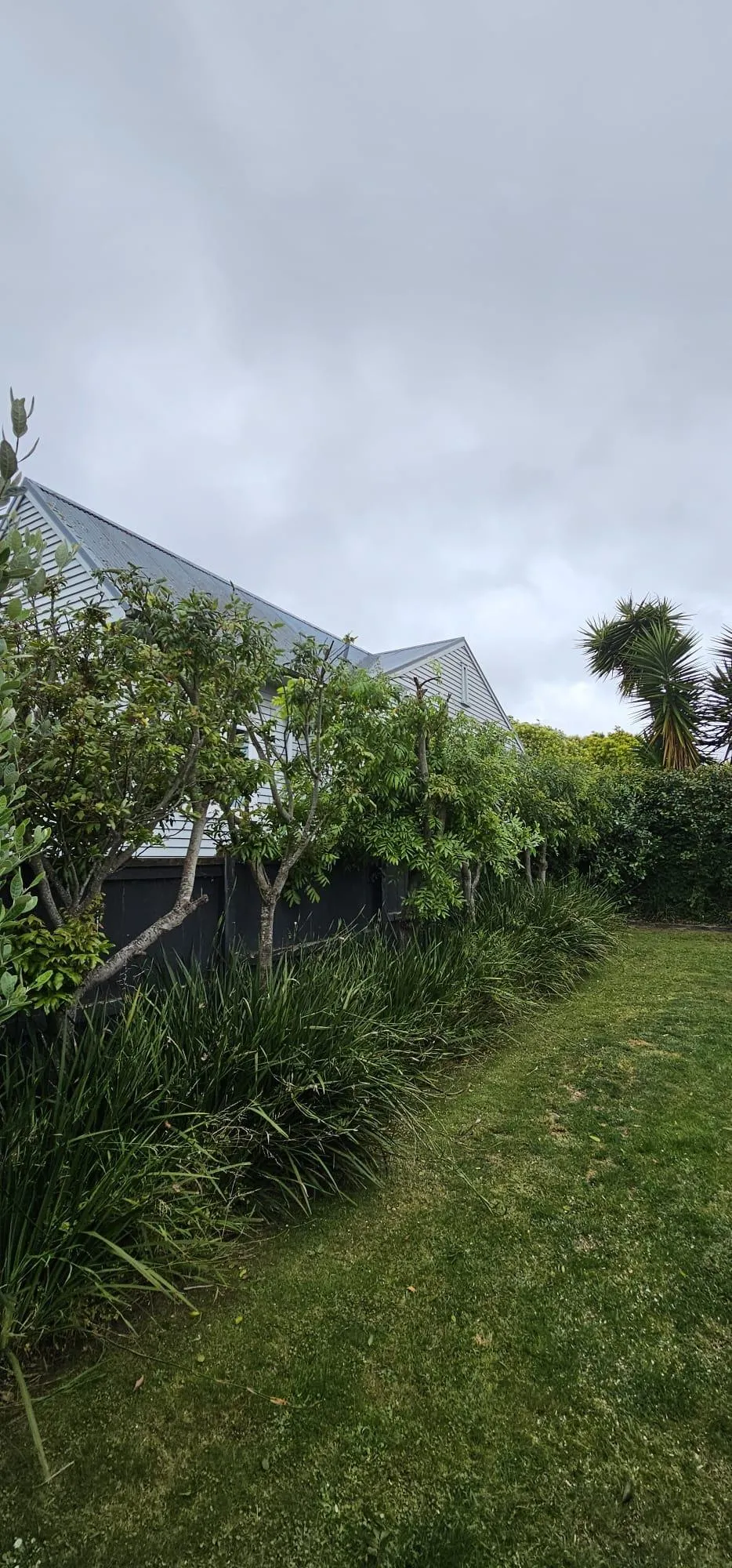 Lawn and garden maintenance Auckland home