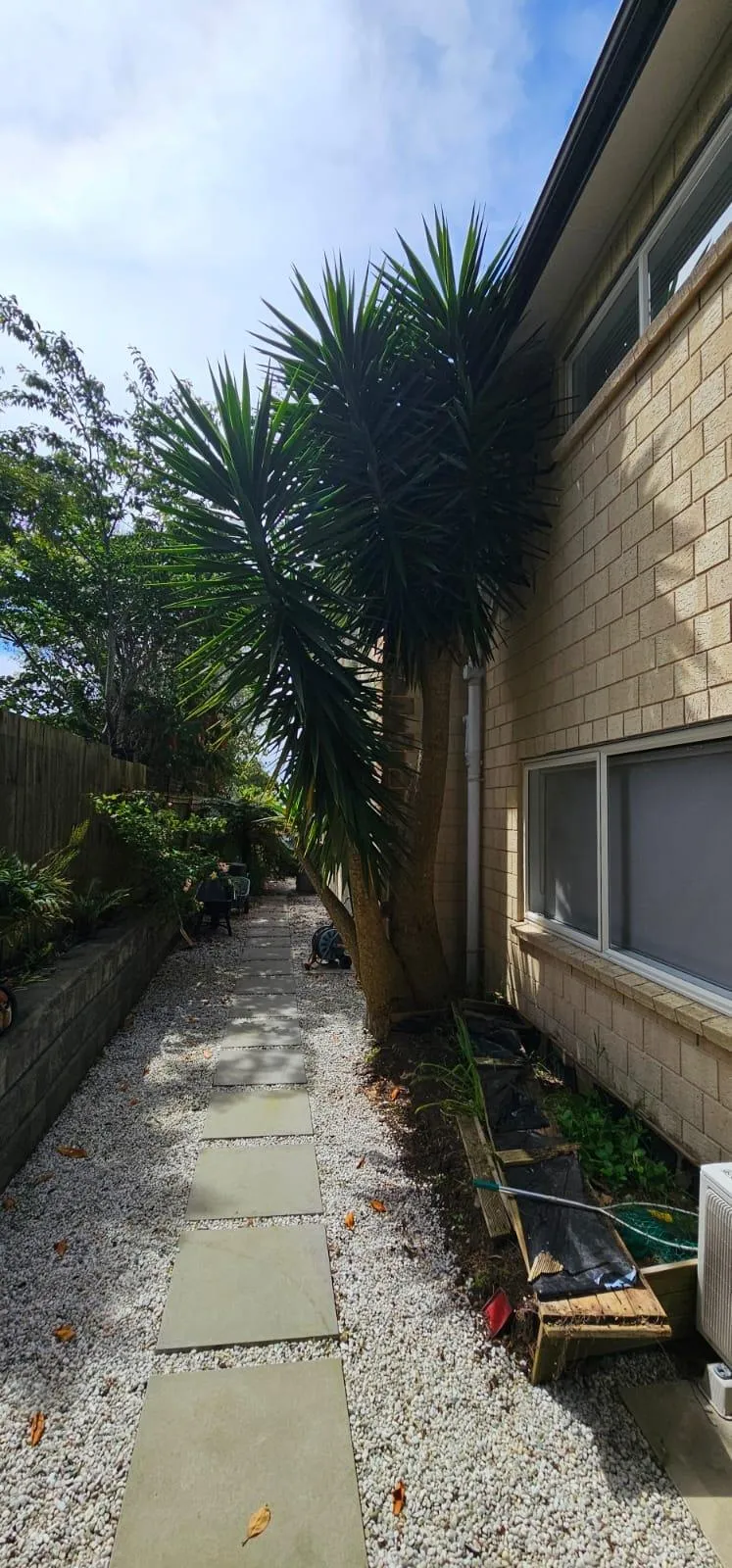 Auckland backyard cleared and landscaped