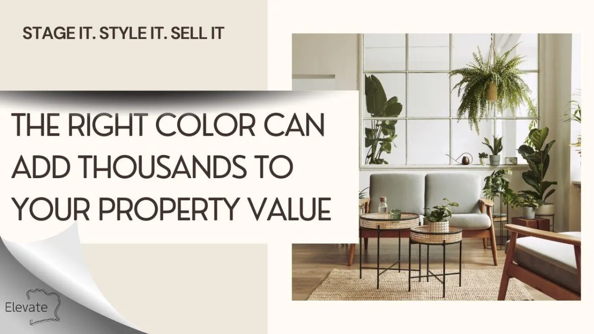 Before and after home staging showing how simple design changes make properties more attractive and sell faster.