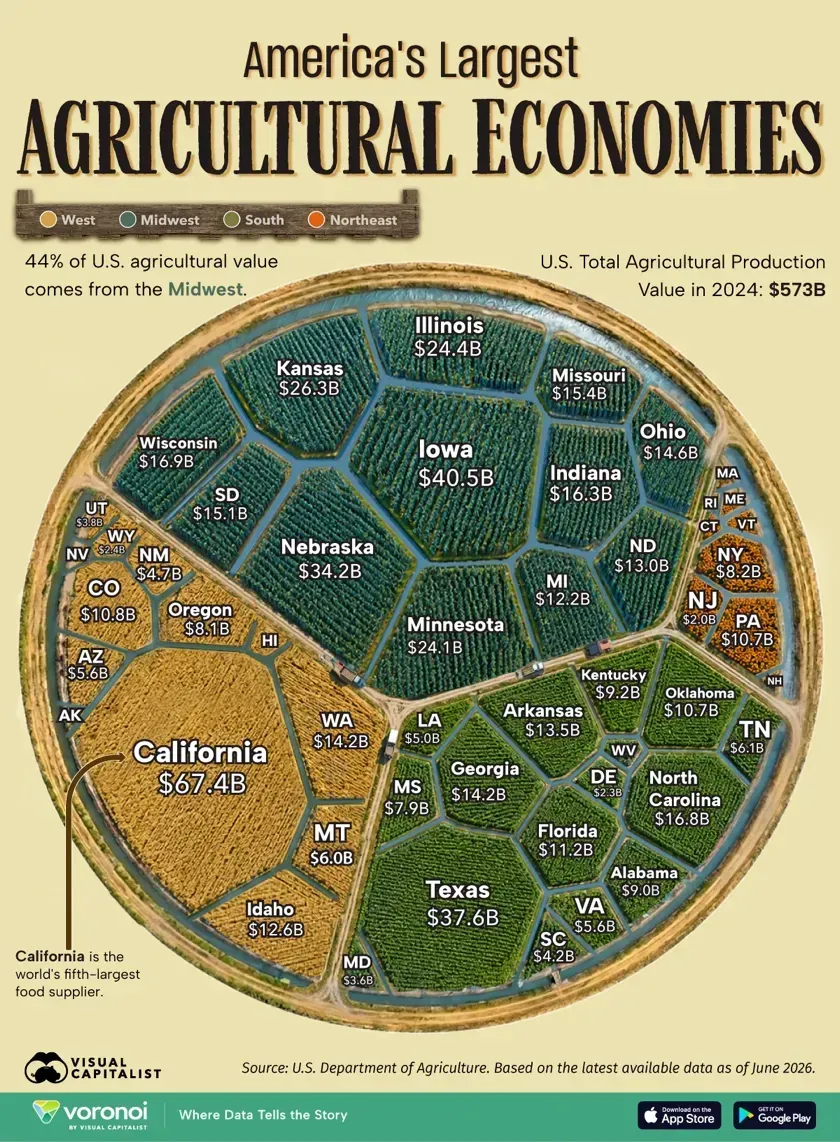 Infographic ranking every US state by 2024 agricultural production value using USDA data