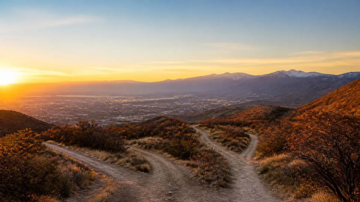 The Decision Tree: Moving From "I Want to Invest" to "Financial Freedom"
