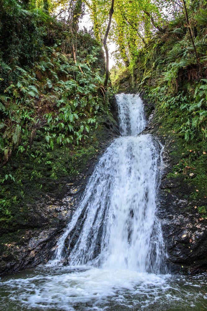 🌲 Reconnect with Nature: 